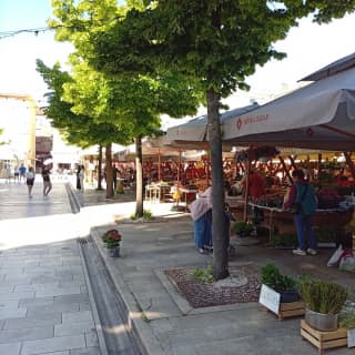 Zadar Market