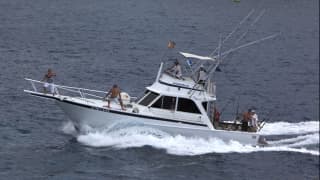 Big Game Fishing Yacht Sofia