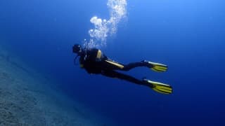 Venus Diving Center