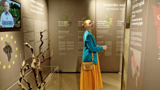 Istria Wine Museum