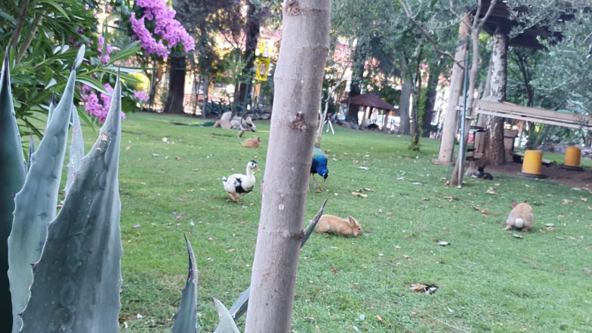 Budva Central Bus Station photo 2