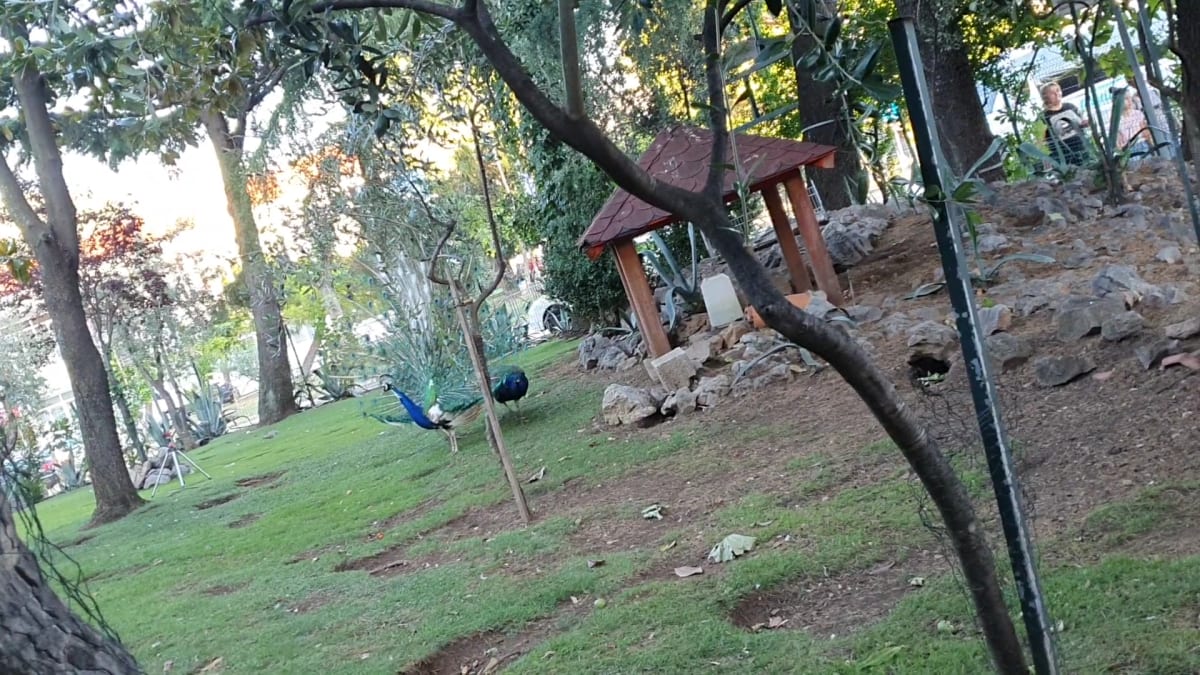 Budva Central Bus Station photo 4