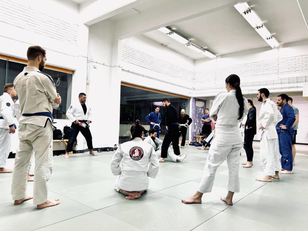 Big Wave jiu-jitsu (BJJ) photo 4