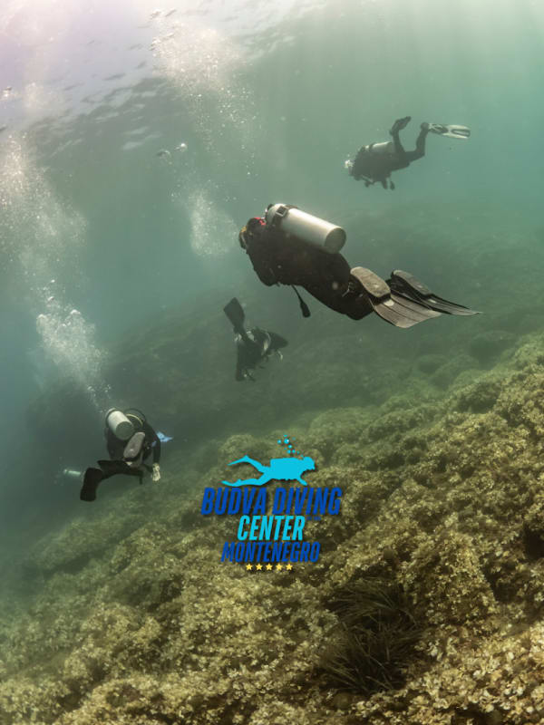 Budva Diving Center photo 3