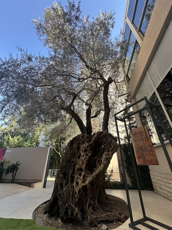 Cataleya Spa & Beauty photo 5