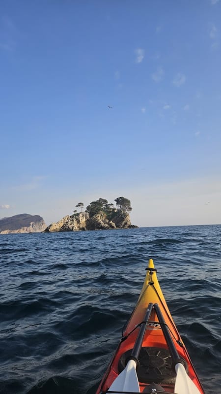 EDDY Kayak & SUP Adventures photo 5
