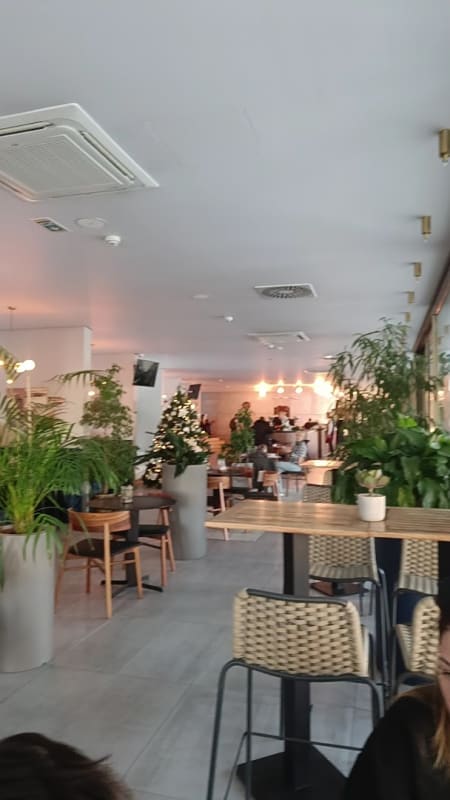 Gradska Kafana Mogren photo 2