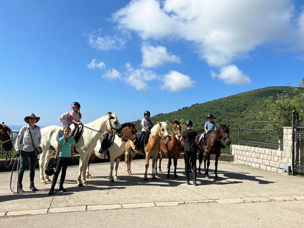Konjički Centar Budva photo 3