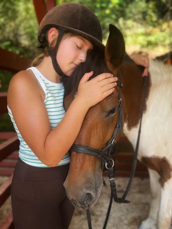 Konjički Centar Budva photo 4