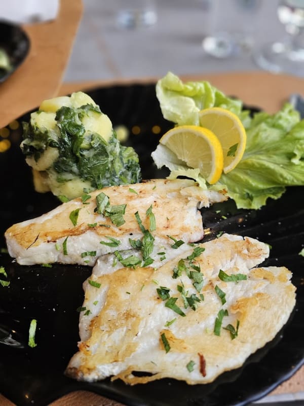 Konoba Mediteraneo photo 4