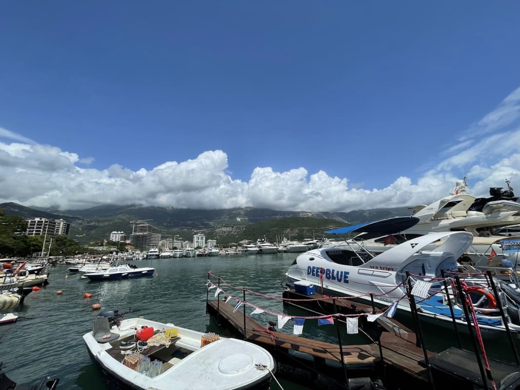 Marina Budva photo 5