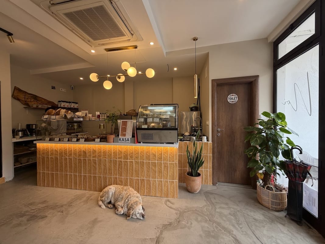 Noi Bakery & Coffee photo 5