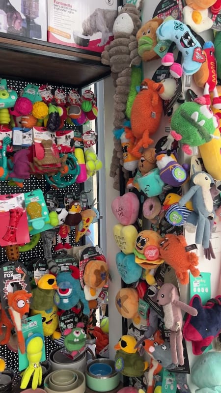 Pet House Budva photo 2