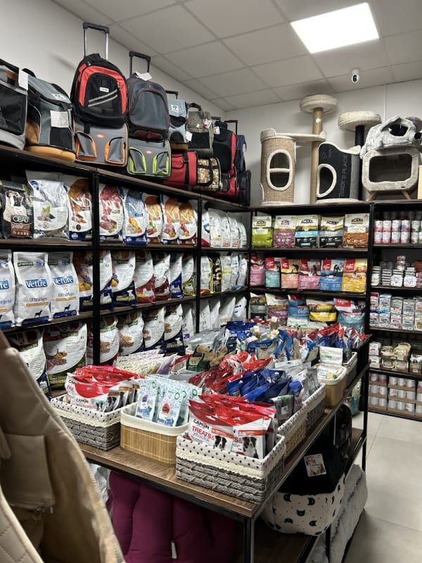 Pet House Budva photo 4