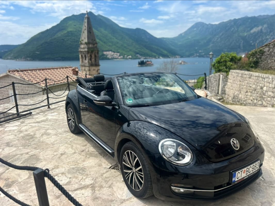 Rent a car Montecars.online photo 2