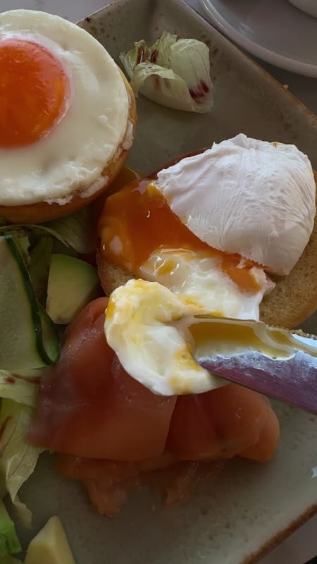 Trattoria Tulip photo 2