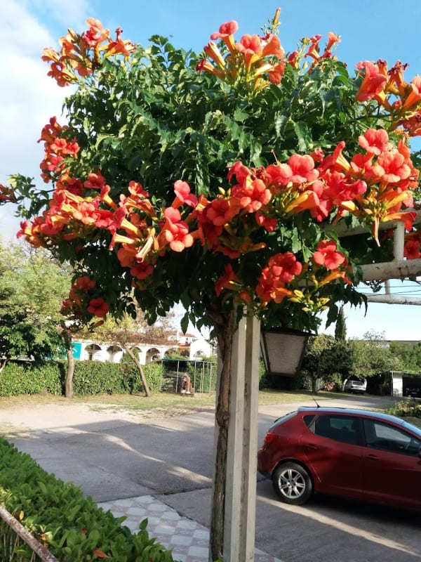 Verige Restaurant photo 3