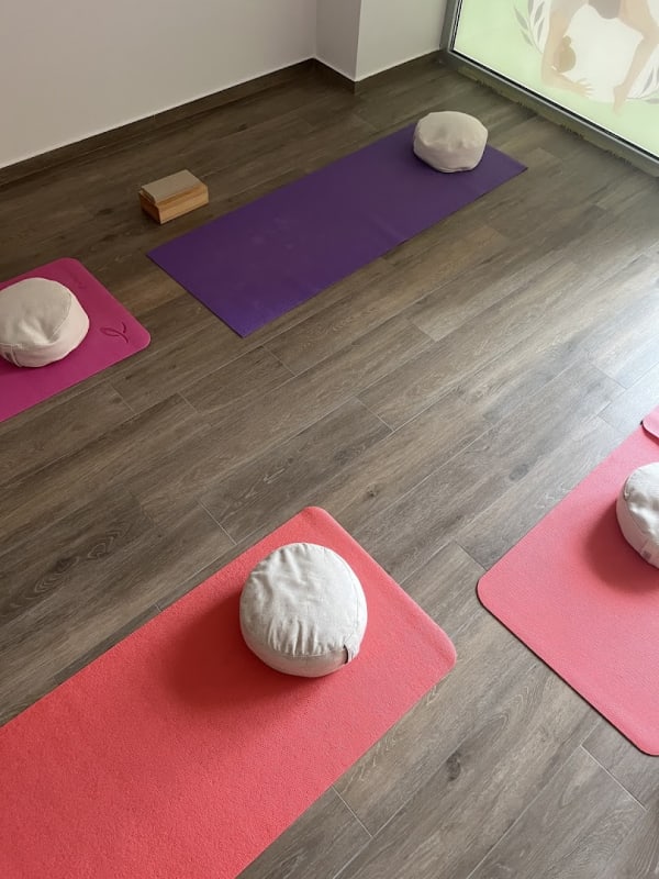 Yoga Studio Zoi Budva photo 2