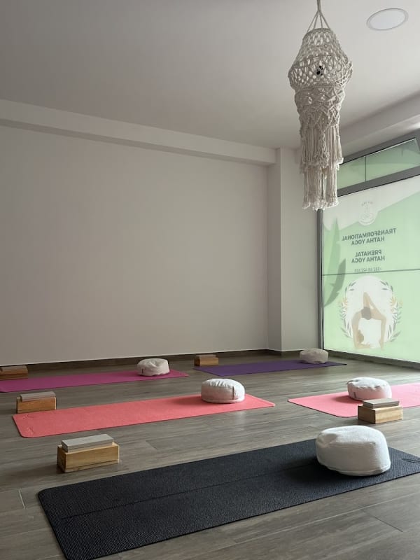 Yoga Studio Zoi Budva photo 3