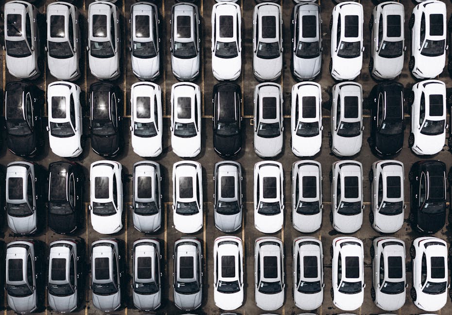 My Rent-a-car photo 4