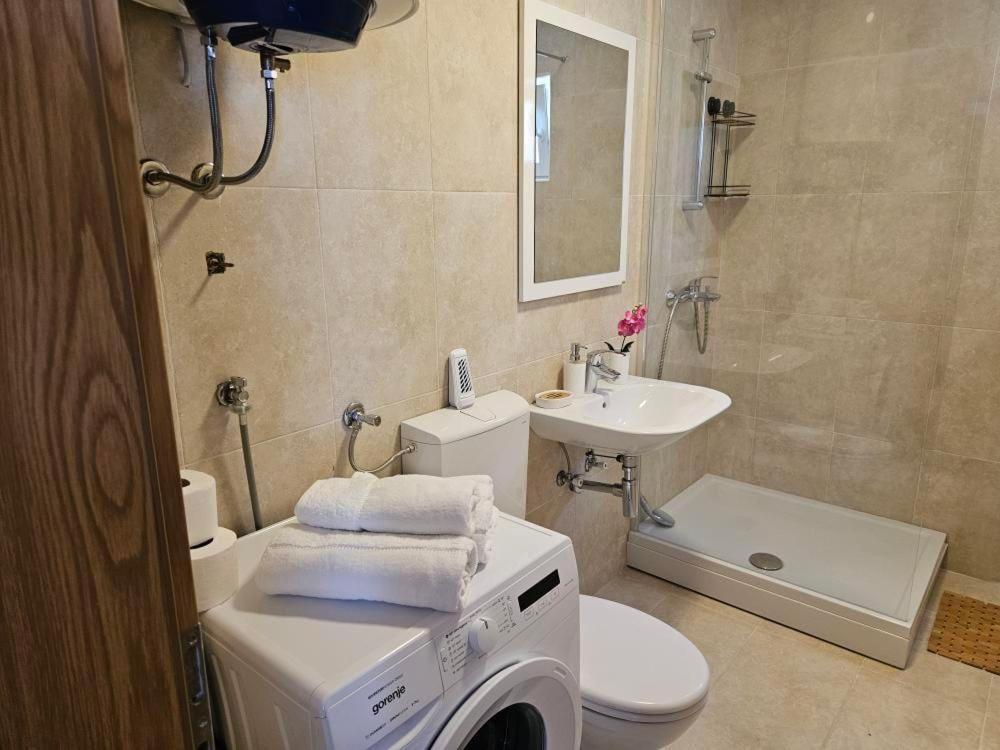 Apartman Andjela photo 8