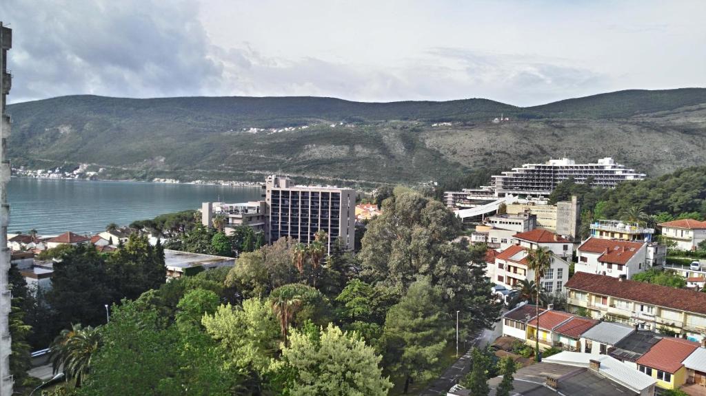 Studio Apartment Danijela photo 6