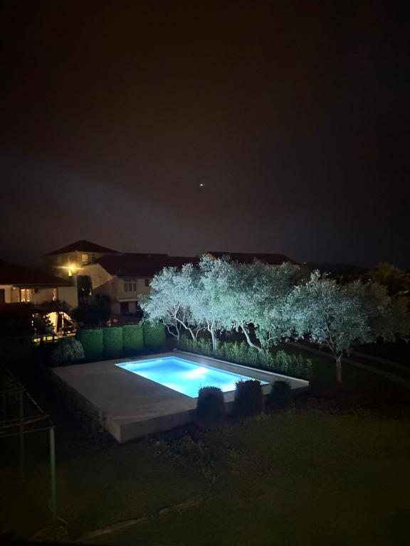 Vila CarpeDiem photo 7