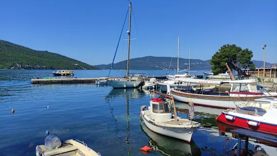 Woodpecker Backpacker Hostel photo 3