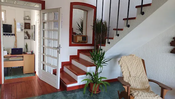 Woodpecker Backpacker Hostel photo 5