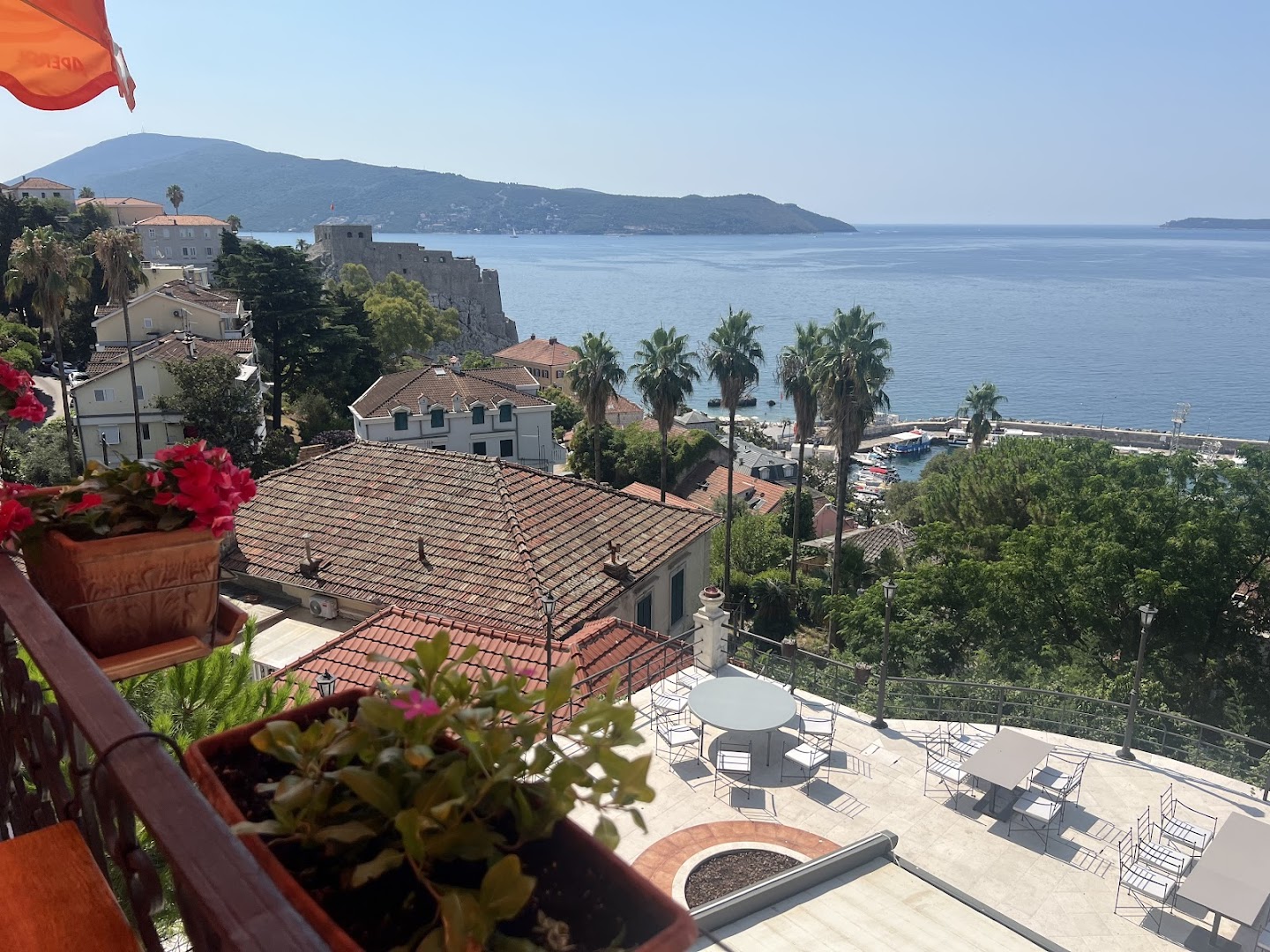 Gradska Kafana photo 5