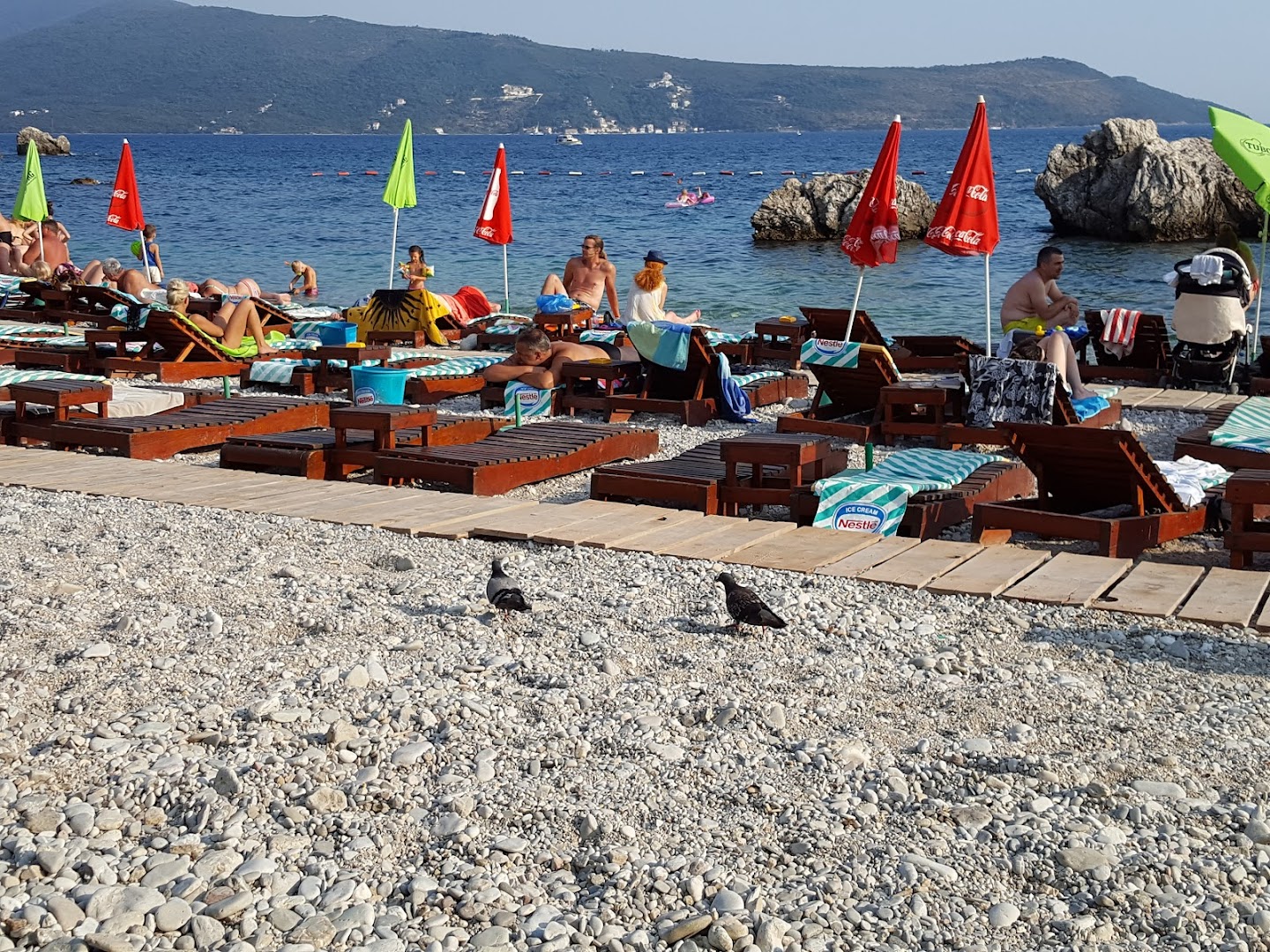 Brod Albatros photo 5