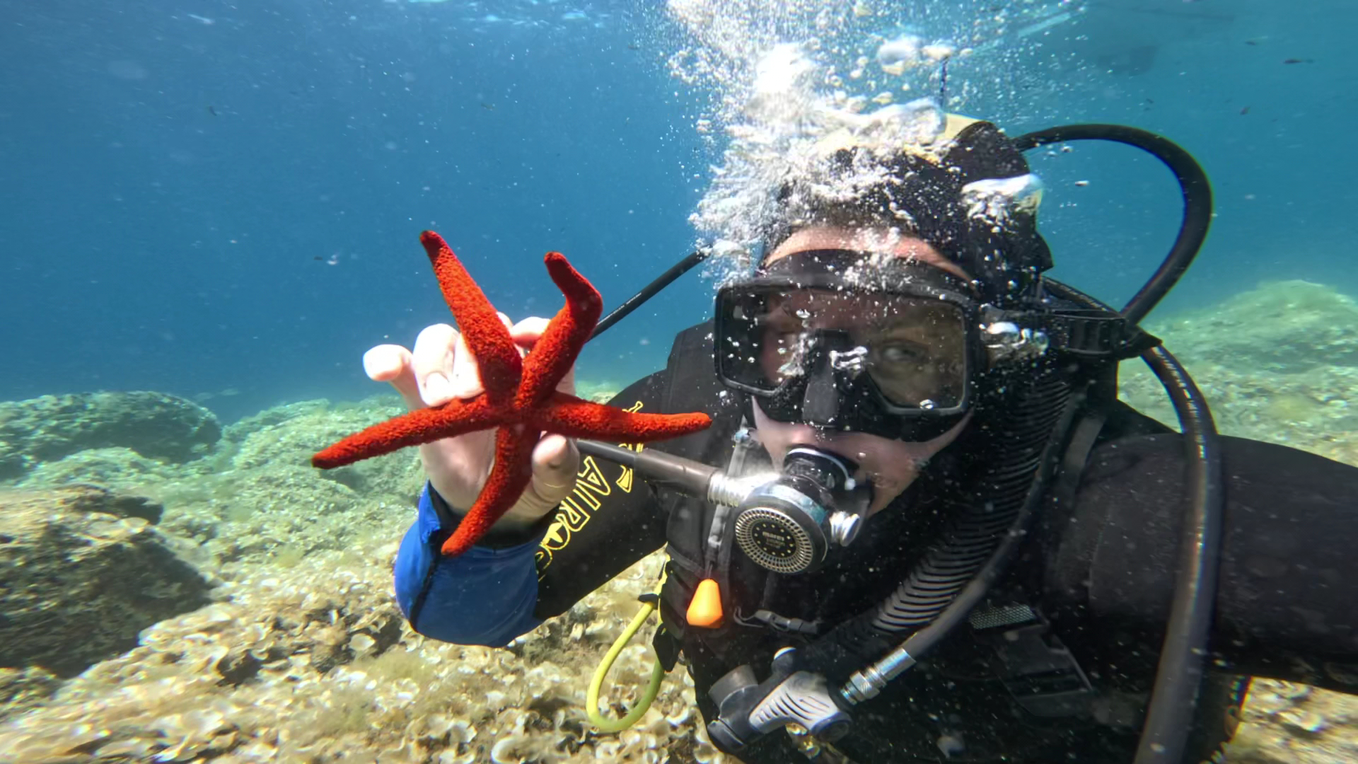 People's Diving Club photo 2