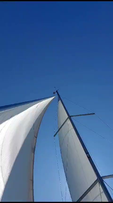 YachtingAdria photo 2