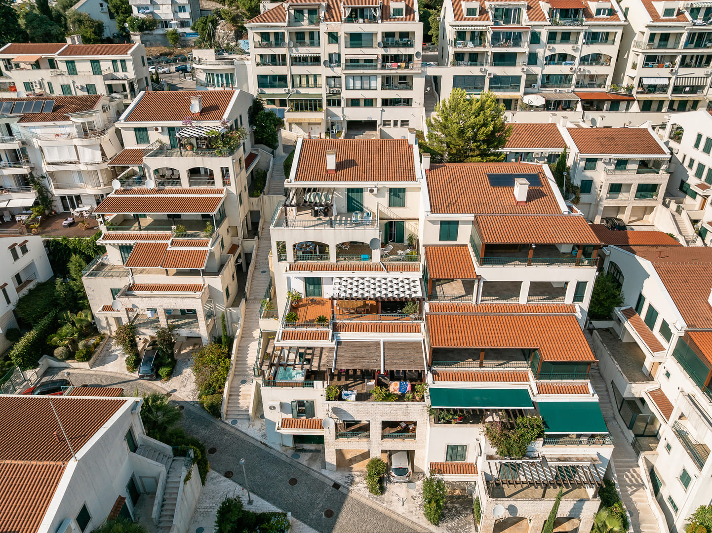 Intermedio Nekretnine photo 5