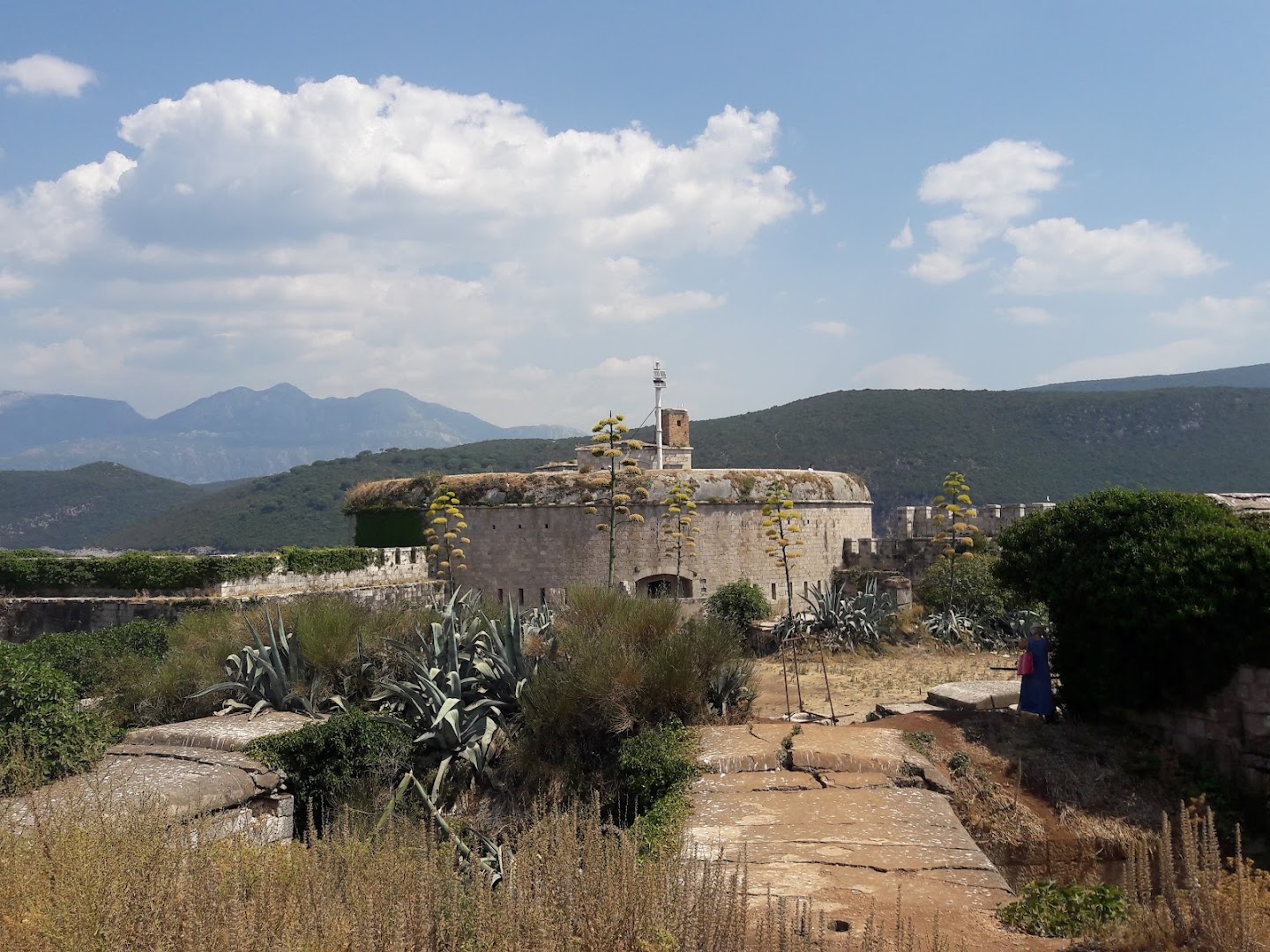 Mamula travel ℹ️ photo 1