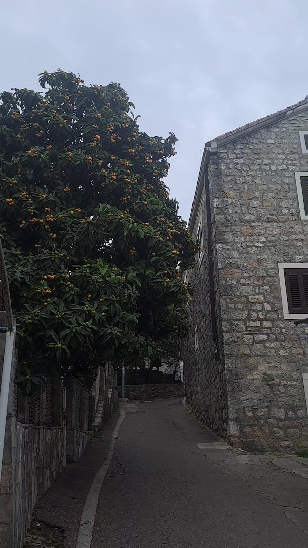 Mini Market Topla photo 5