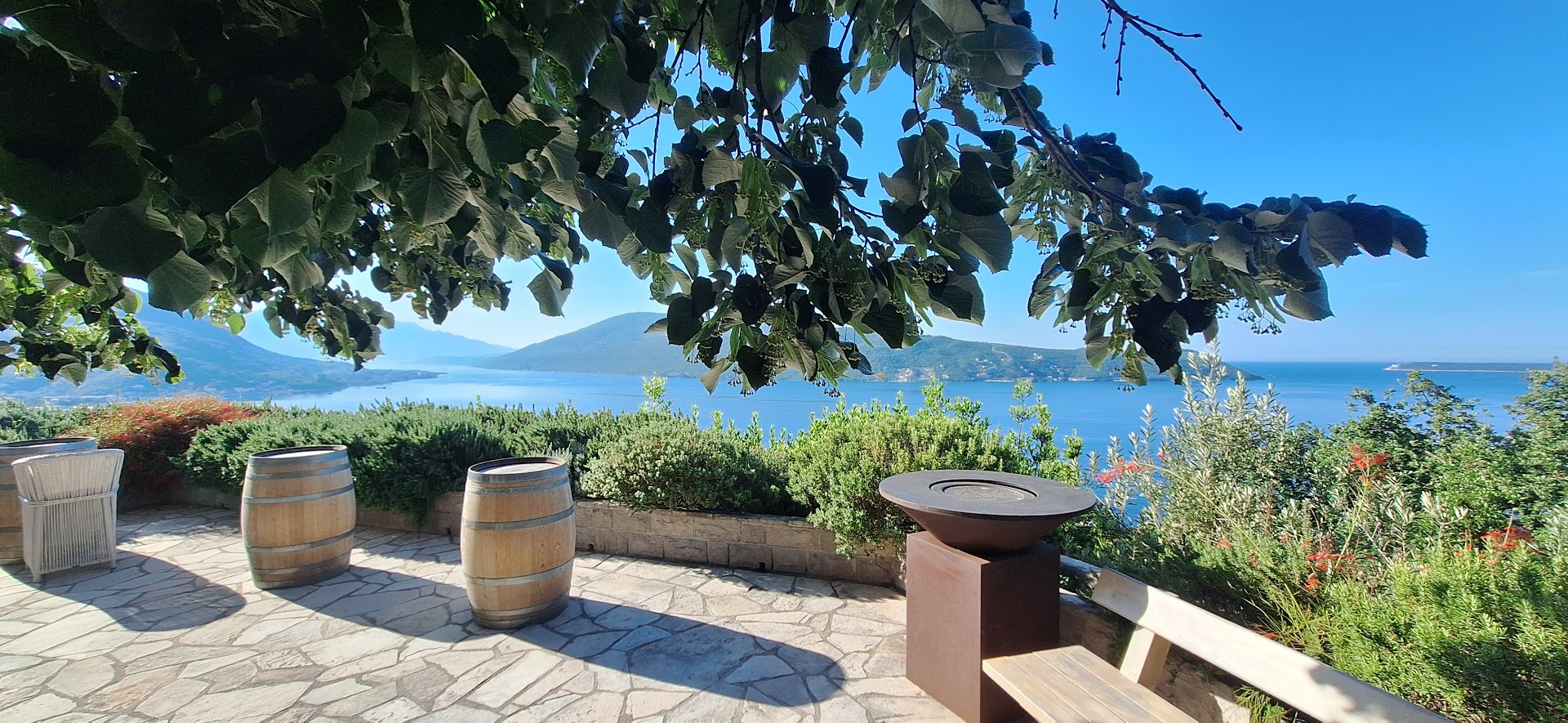 Savina winery photo 4