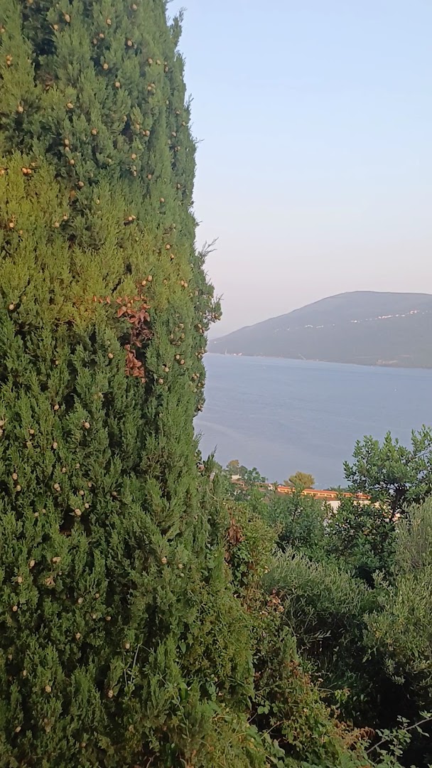 Savina winery photo 5