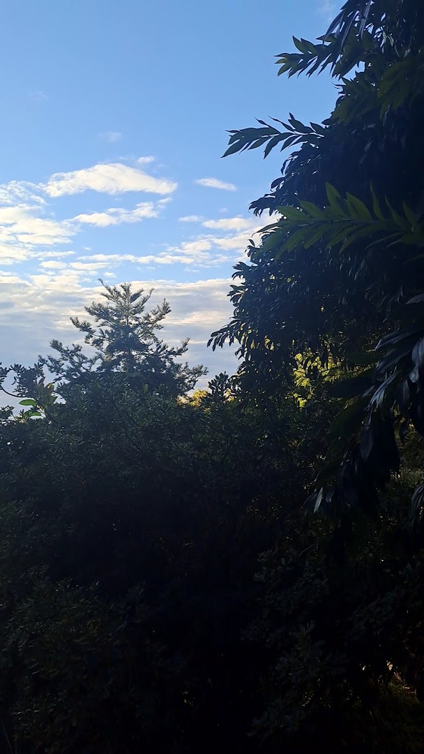 Stijepa Šarenca Parking photo 5