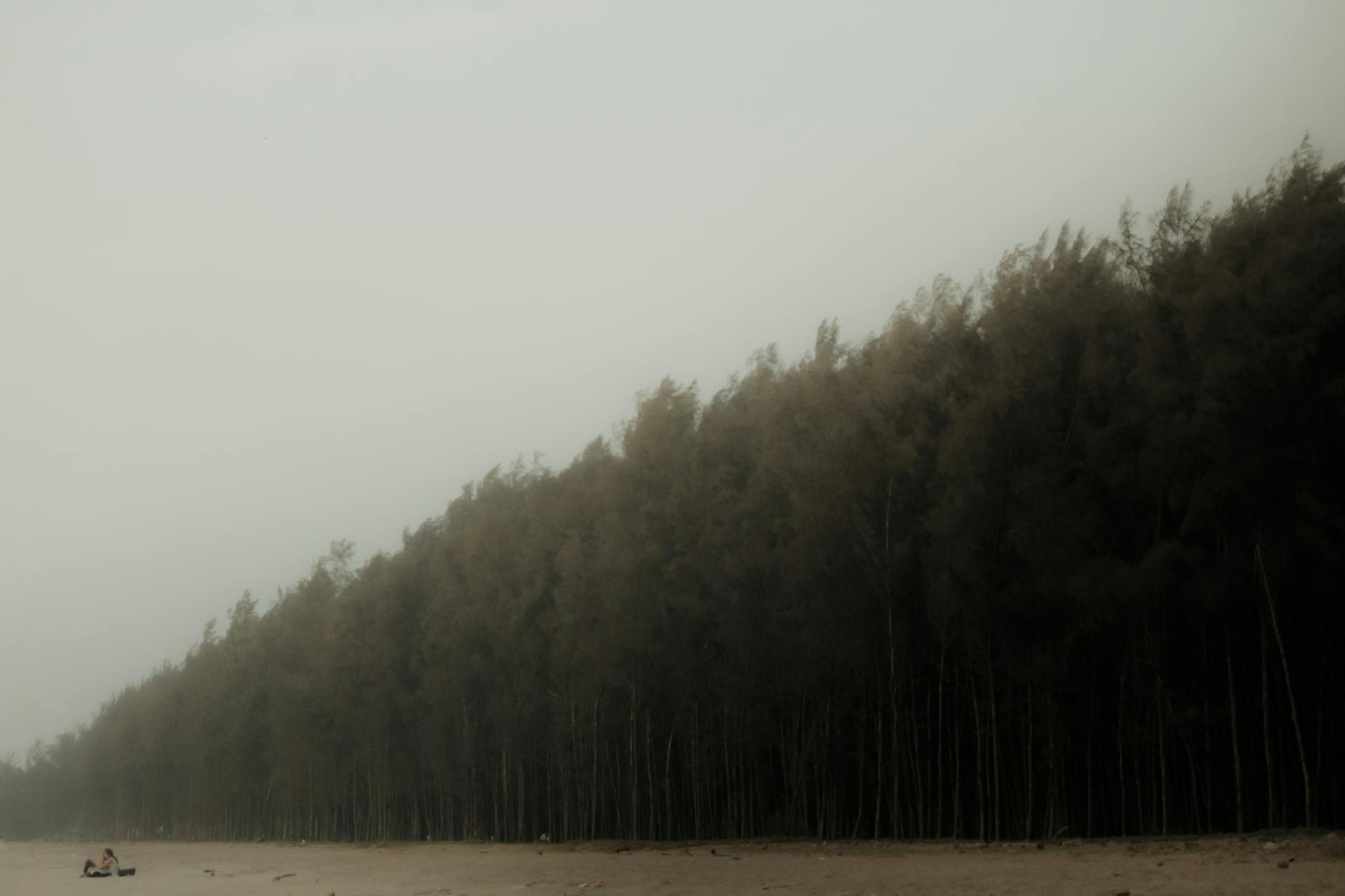 Plavi Horizonti Beach photo 3