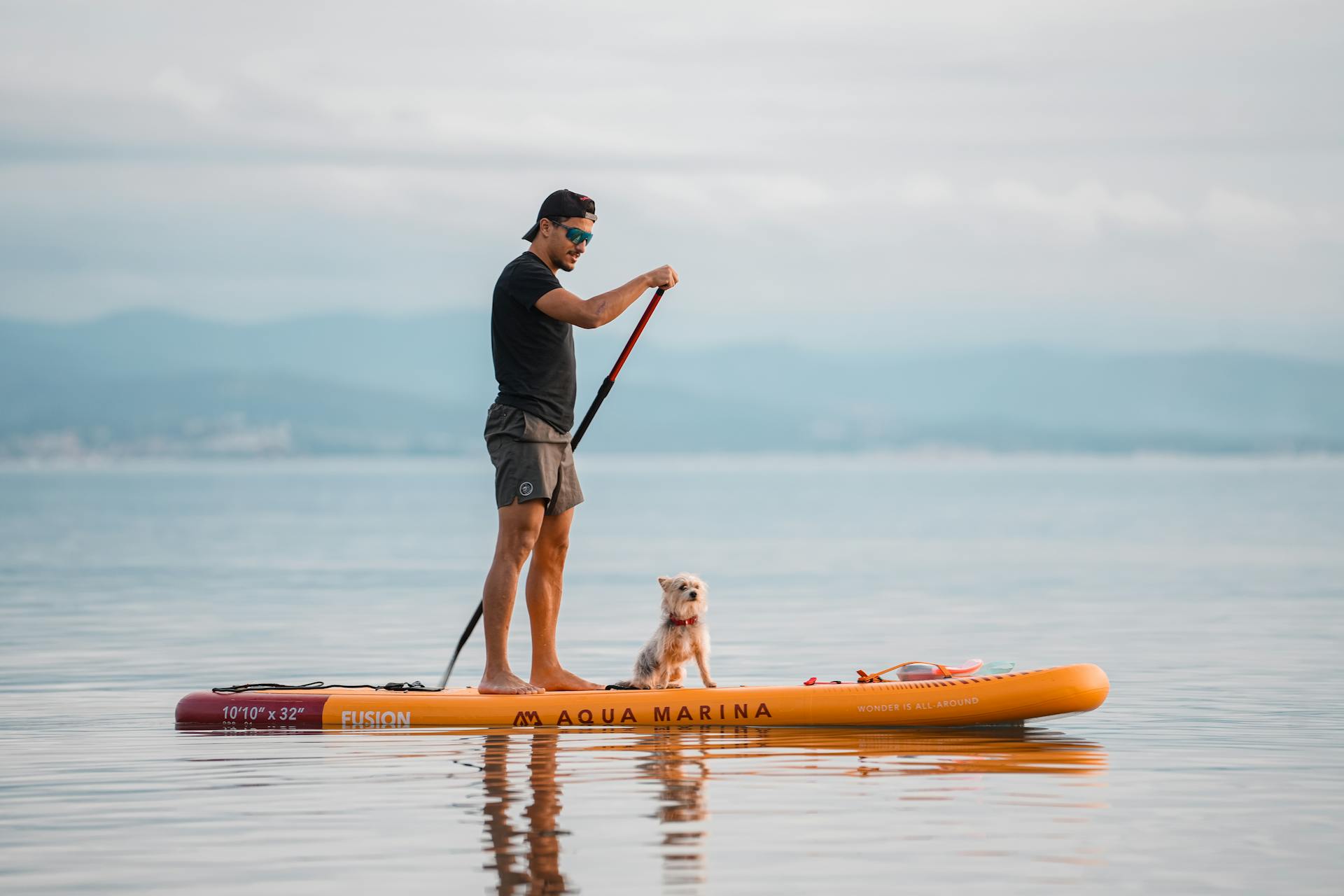 SUP Rental Kotor photo 4