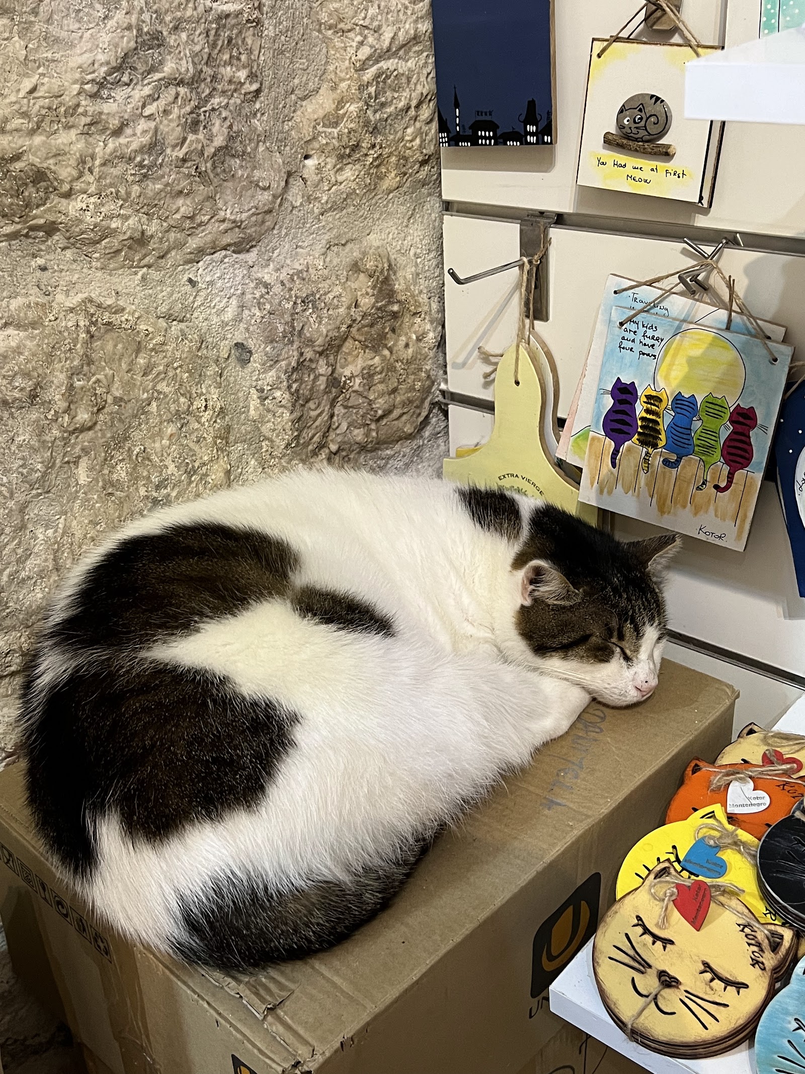 Danijela’s Shop photo 6