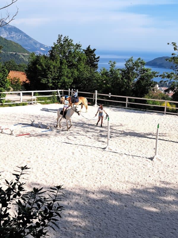 Konjički Centar Budva