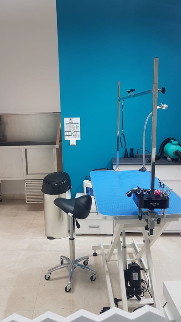 Dogi Grooming Salon