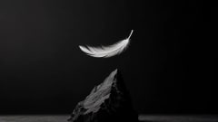 A white feather suspended above a sharp black stone in a minimalist monochrome composition.