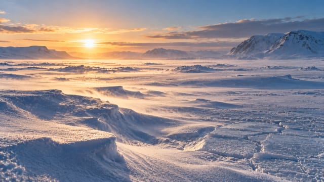 A vast white Arctic plain under a low sun, with wind blown drifts, fresh powder and a crust of hard snow in different textures.