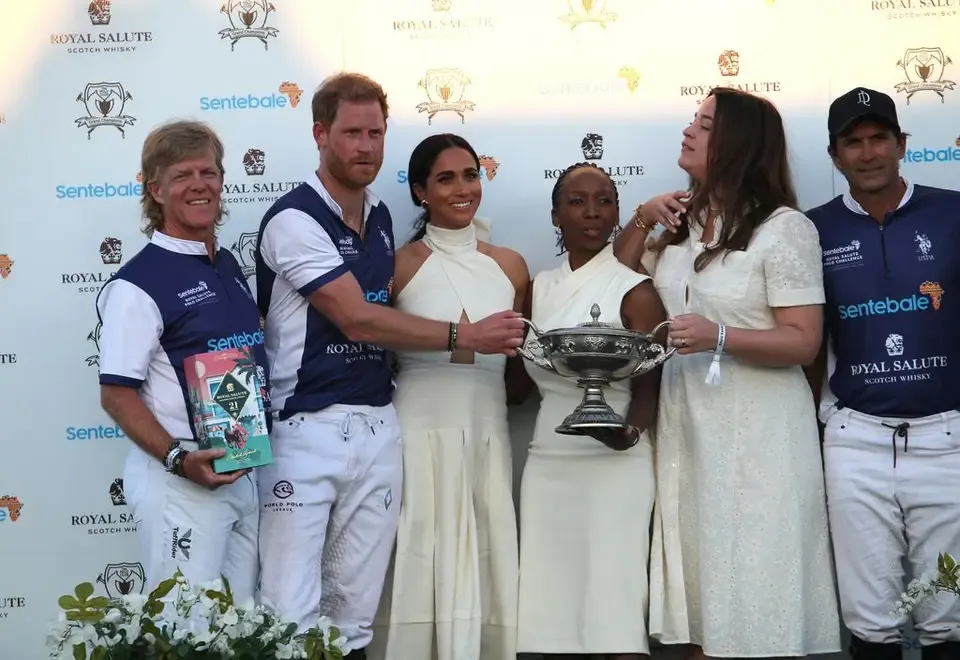 prince harry charity