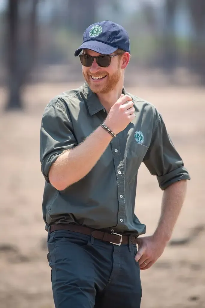 prince harry