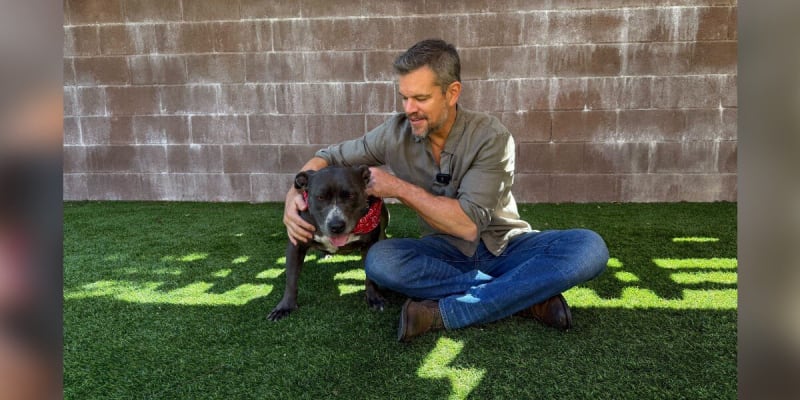 Matt Damon in a gray shirt and jeans crouches beside a dark brown dog wearing a red bandana against a brick wall and grass.