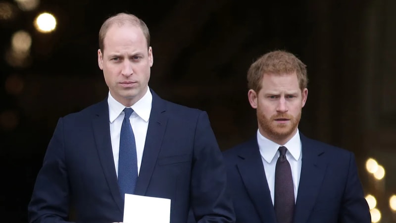 Prince William and Prince Harry walking together in matching navy suits at a formal event.